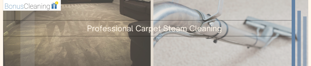 carpet cleaning